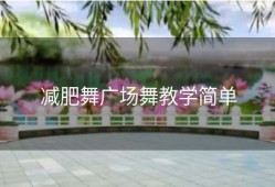 减肥舞广场舞教学简单