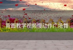 背面教学视频慢动作广场舞