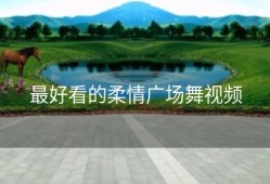 最好看的柔情广场舞视频