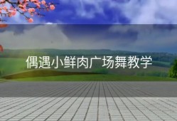 偶遇小鲜肉广场舞教学