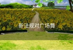 新法规对广场舞