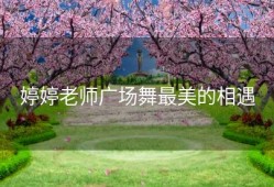 婷婷老师广场舞最美的相遇