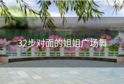 32步对面的姐姐广场舞