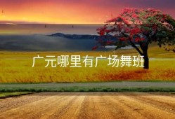 广元哪里有广场舞班