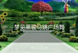 梦见黑骏马跳广场舞