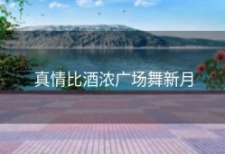 真情比酒浓广场舞新月