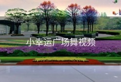 小幸运广场舞视频