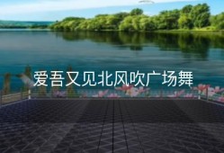 爱吾又见北风吹广场舞