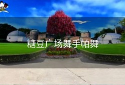 糖豆广场舞手帕舞