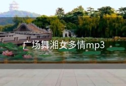 广场舞湘女多情mp3
