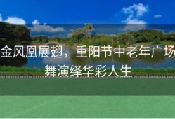 金风凰展翅，重阳节中老年广场舞演绎华彩人生