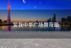爱我中华广场舞背面