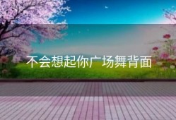 不会想起你广场舞背面