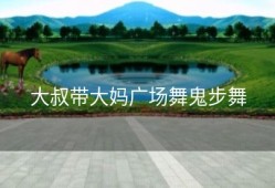 大叔带大妈广场舞鬼步舞