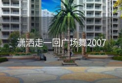 潇洒走一回广场舞2007