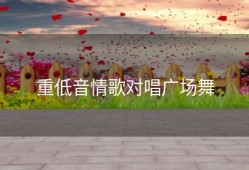 重低音情歌对唱广场舞