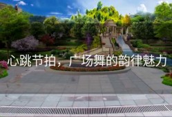 心跳节拍，广场舞的韵律魅力