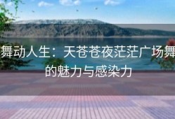 舞动人生：天苍苍夜茫茫广场舞的魅力与感染力