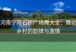 河南宁陵石桥广场舞大全：舞动乡村的韵律与激情