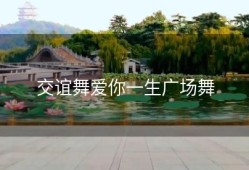 交谊舞爱你一生广场舞