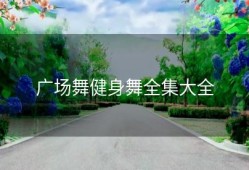 广场舞健身舞全集大全