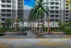 广场舞印度之夜微微