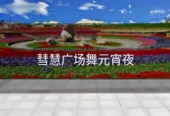 彗慧广场舞元宵夜