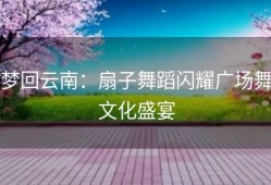 梦回云南：扇子舞蹈闪耀广场舞文化盛宴