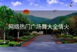 网络热门广场舞大全情火