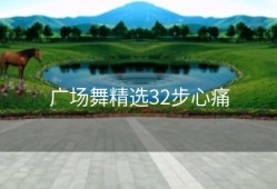 广场舞精选32步心痛
