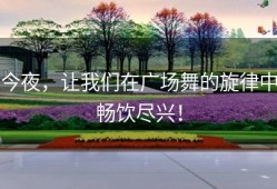 今夜，让我们在广场舞的旋律中畅饮尽兴！