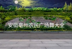 安徽亳州农民广场舞大全
