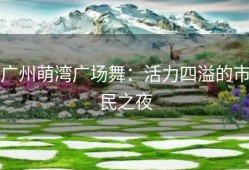 广州萌湾广场舞：活力四溢的市民之夜