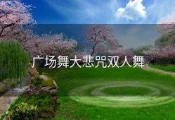 广场舞大悲咒双人舞