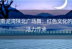 南泥湾陕北广场舞：红色文化的活力传承