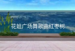花姐广场舞歌曲红枣树