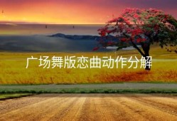 广场舞版恋曲动作分解