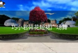 巧小君碎花短裙广场舞