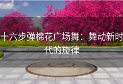 十六步弹棉花广场舞：舞动新时代的旋律
