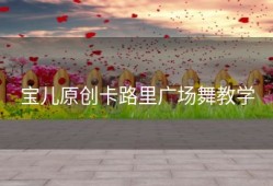 宝儿原创卡路里广场舞教学