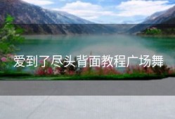 爱到了尽头背面教程广场舞