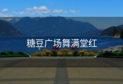 糖豆广场舞满堂红