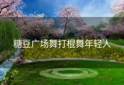 糖豆广场舞打棍舞年轻人