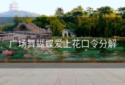 广场舞蝴蝶爱上花口令分解