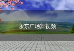 永东广场舞视频