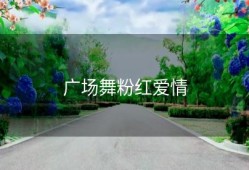 广场舞粉红爱情