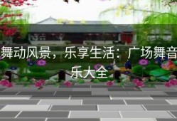 舞动风景，乐享生活：广场舞音乐大全