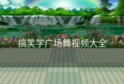 搞笑学广场舞视频大全