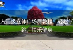 入门级立体广场舞教程：轻松学跳，快乐健身