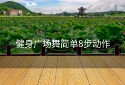 健身广场舞简单8步动作